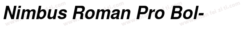 Nimbus Roman Pro Bol字体转换